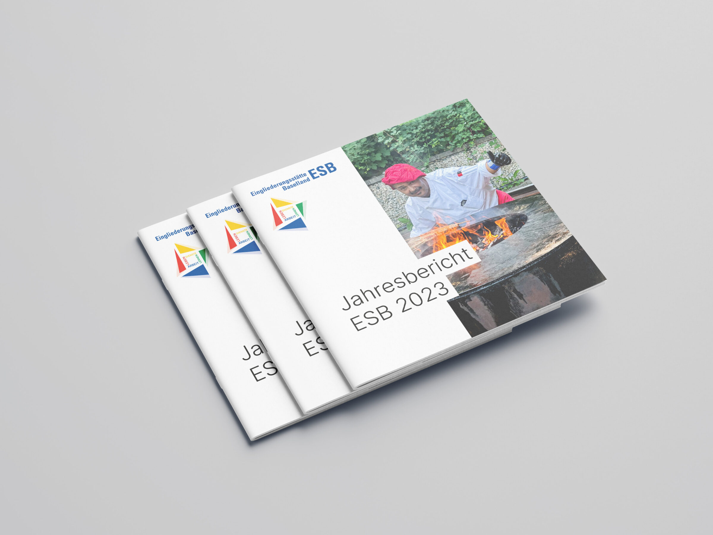 Jahresbericht ESB Liestal