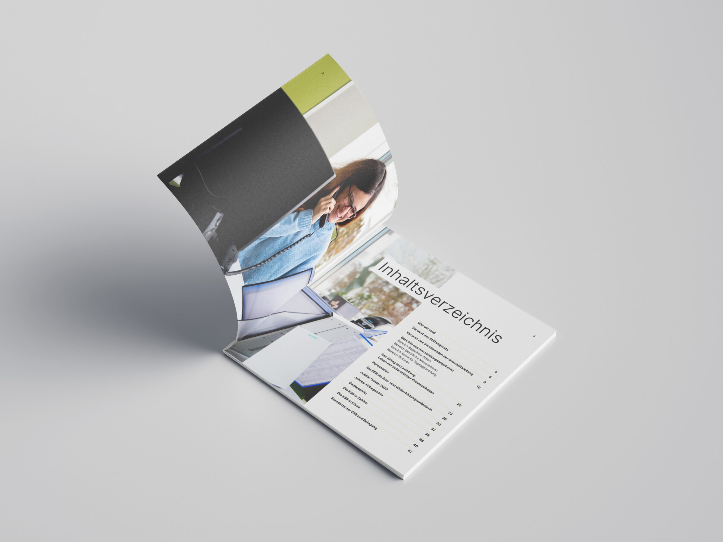 Jahresbericht ESB Liestal